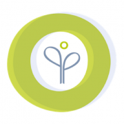 Logo Physiotherapie am Paulinenpark